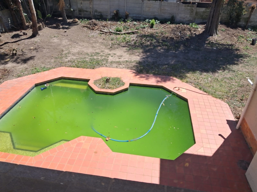 To Let 3 Bedroom Property for Rent in Selborne Eastern Cape